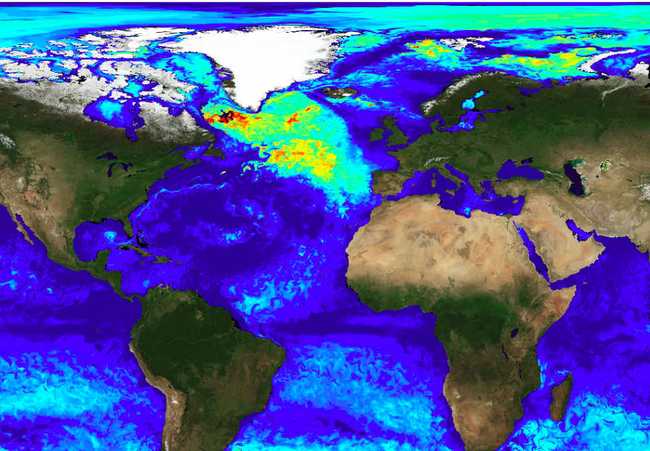 Global ocean observation